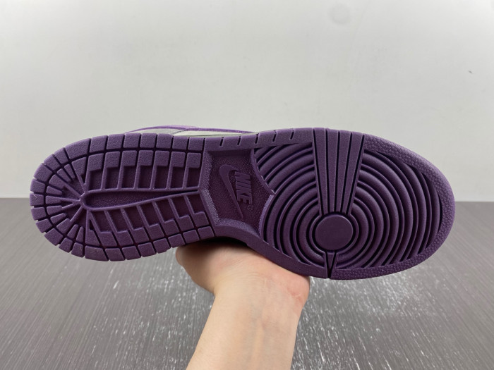 nike dunk sb low purple pigeon 304292-051