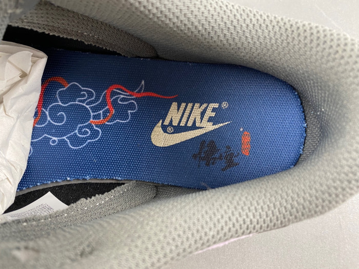 nike sb dunk low sb dv2433-109